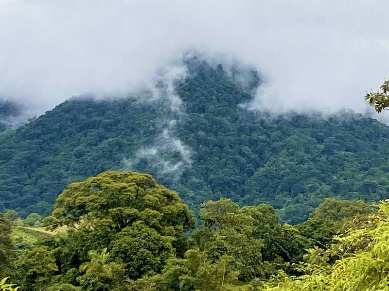 0 bed Lot/Land For Sale in Ojochal,  - 1